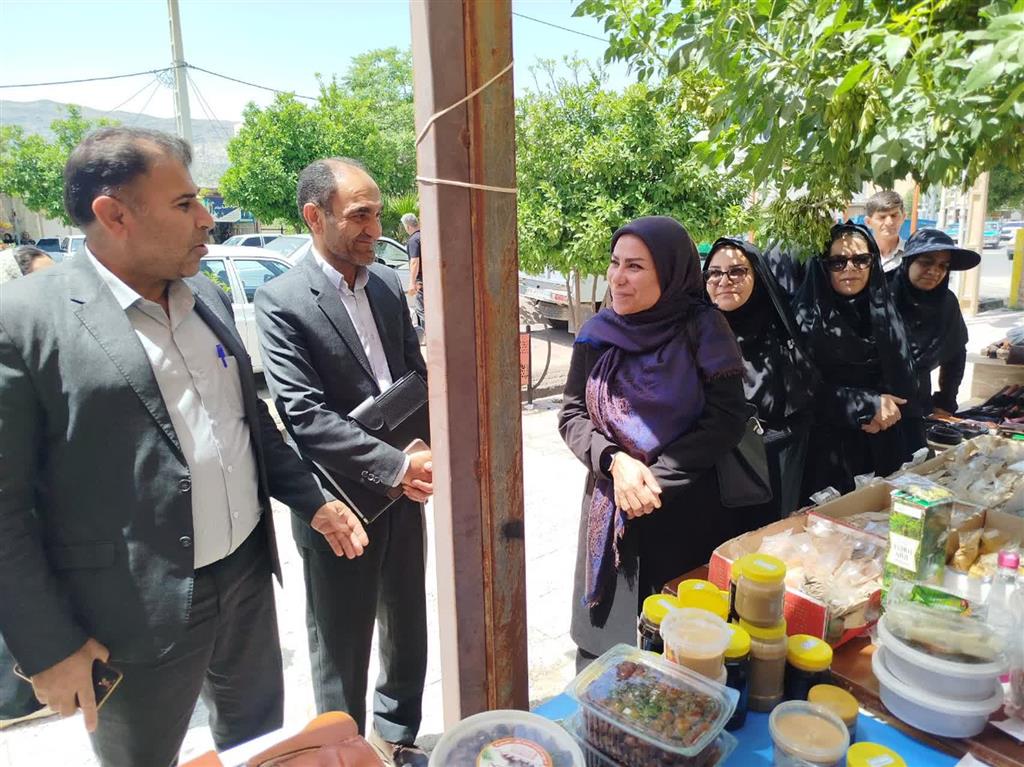 بازدید مدیركل دفتر توسعه فعالیتهای كشاورزی زنان روستایی از طرح‌های نوآورانه در ایلام